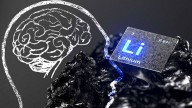 Lithium Deficiency May Spur Alzheimer’s, Guide Treatment