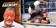 MMA fighter unleashes rampage on wrestler in viral video