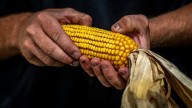 How corn changed the Midwest: Free Beloit event Sept. 6