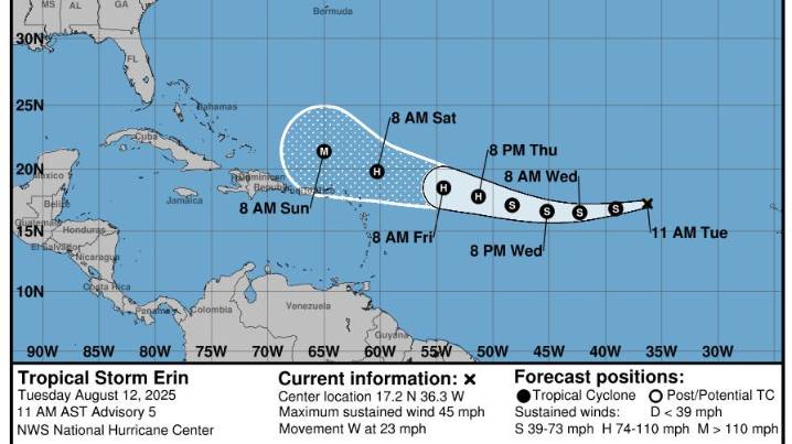 Tropical Storm Erin expected to become hurricane. Here's what you should do