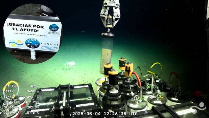 El Conicet confirmó una noticia que emociona después de la exitosa expedición en el mar Argentino