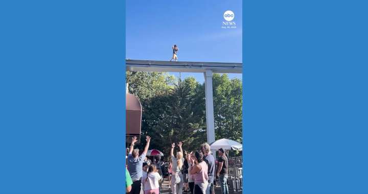 Young boy rescued from Hersheypark elevated monorail track