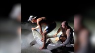 Fisherman bit by shark while posing for a photo with it