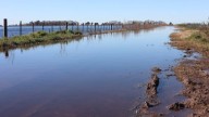 Desesperados por las inundaciones, productores de 9 de Julio le pidieron ayuda a Milei: “Nos estamos ahogando”