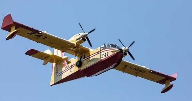CP NewsAlert: Following destructive wildfires, New Brunswick reopens forest access