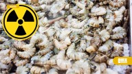 FDA alerta por venta de camarones radioactivos en supermercados