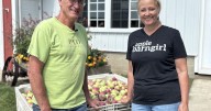 Elkhorn farmers gear up for a fruitful apple season