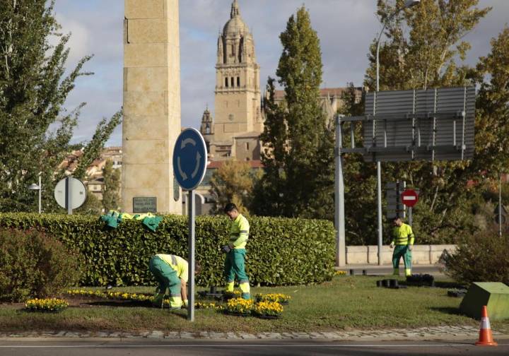 8.300 árboles y arbustos nuevos en Salamanca durante el último año
