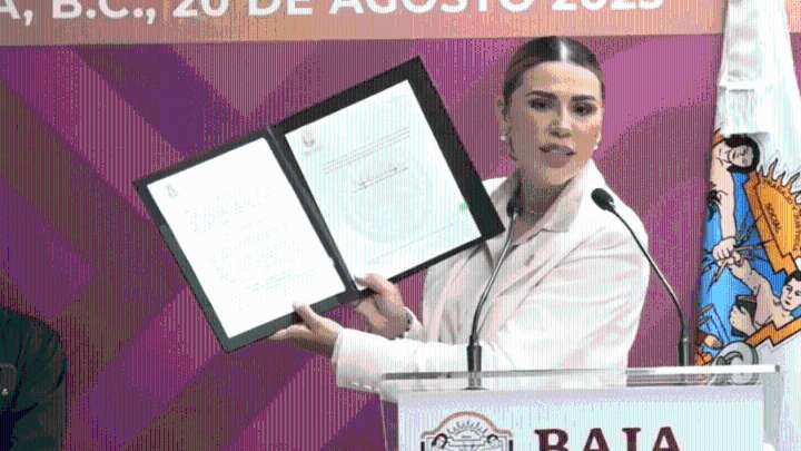 Firman iniciativa para combatir el “halconeo” en Baja California