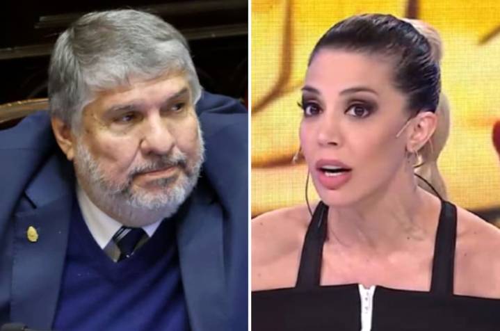 "Después me mandan a estudiar a mí". Mayans tildó de “tonta y estúpida” a Virginia Gallardo y la candidata a diputada por LLA salió al cruce