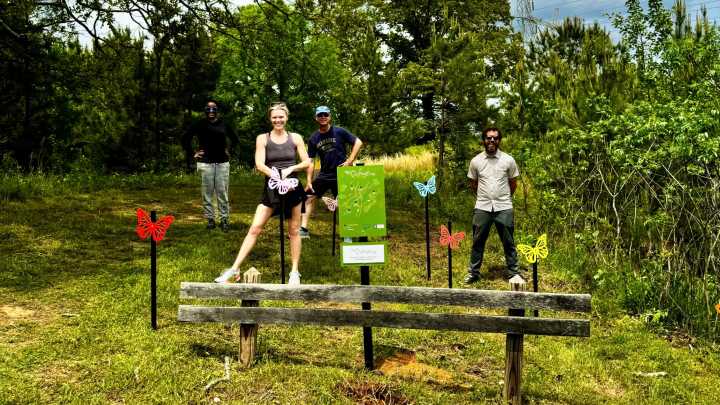 New butterfly gardens added to five Hoover parks; here’s why