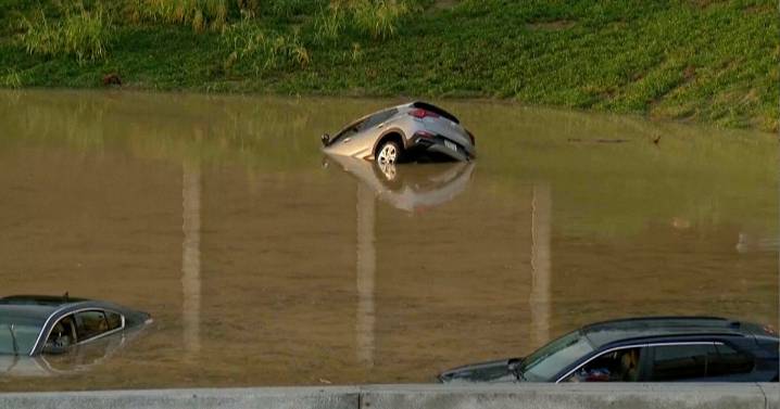 Falling tree kills parents and child in car as Chattanooga flooding prompts dozens of water rescues