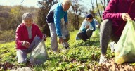 A Sense Of Purpose Can Protect Brain Health In Aging