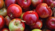 Michigan's apple harvest is underway: Here's when to pick your favorites