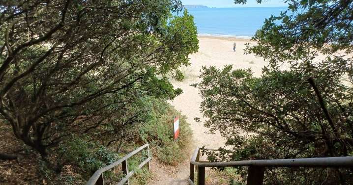 South West 'tropical paradise' hidden gem will leave you speechless