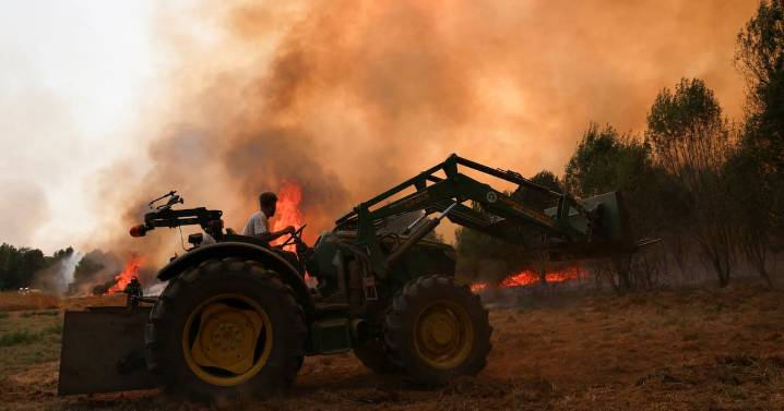 España despliega refuerzos militares ante incendios forestales descontrolados; suman más de 20