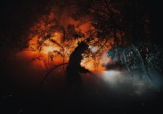 Sigue el mapa de los incendios activos: unas 390.000 hectáreas arrasadas en 2025