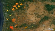 Castilla y León atraviesa una de las mayores emergencias forestales de su historia