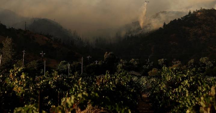 Evacuations ordered as wildfire blazes California's famed Napa County