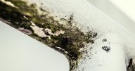 Got Mould? 'Burping' Your Home Can Help