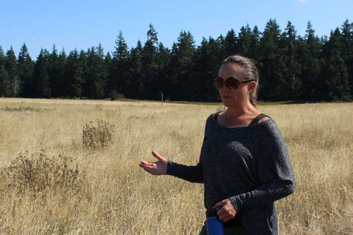 Environmental stewards saving Whidbey prairie