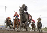 Arrowthegreat takes over down the stretch at Longacres Mile