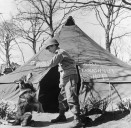 Fur and Fury: America's Heroic Hounds of World War II