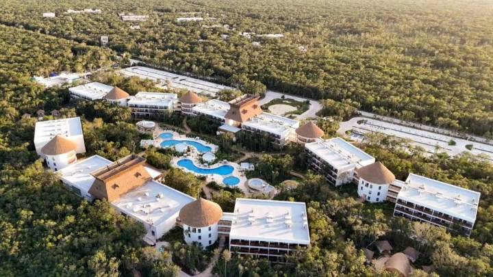 Plaga de escarabajo barrenador compromete la seguridad del Hotel Mundo Maya Tulum