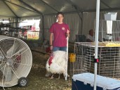 Poultry welcome at Farm Show for first time since 2019