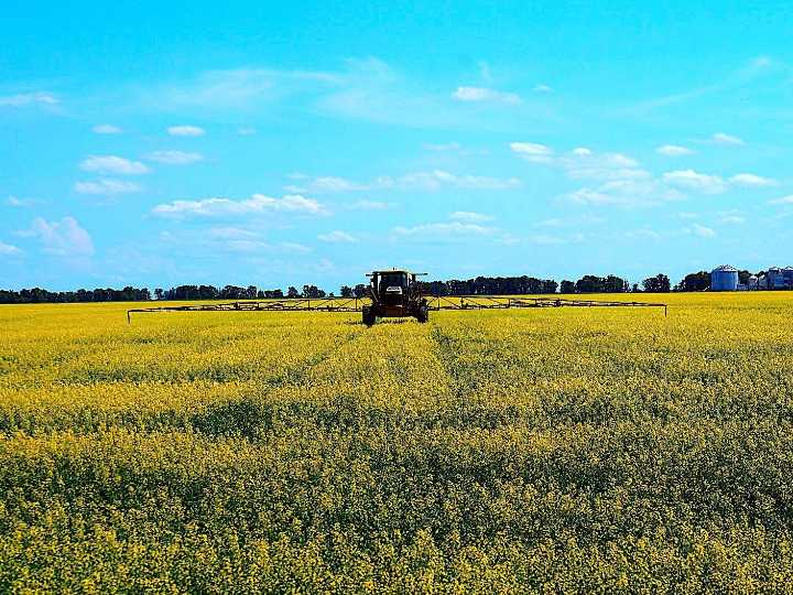 SIEMENS SAYS: China’s 75.8% canola tariff deals devastating blow to prairie farmers