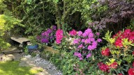 How To Grow A Gorgeous, Healthy Shade Garden (And 4 Mistakes To Avoid)
