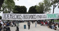 La pura buena vibra: Estrenan en CDMX ‘paraísos’ para fumar marihuana