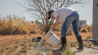 Gualeguaychú lanza la Campaña Patio Limpio 2025 contra el dengue