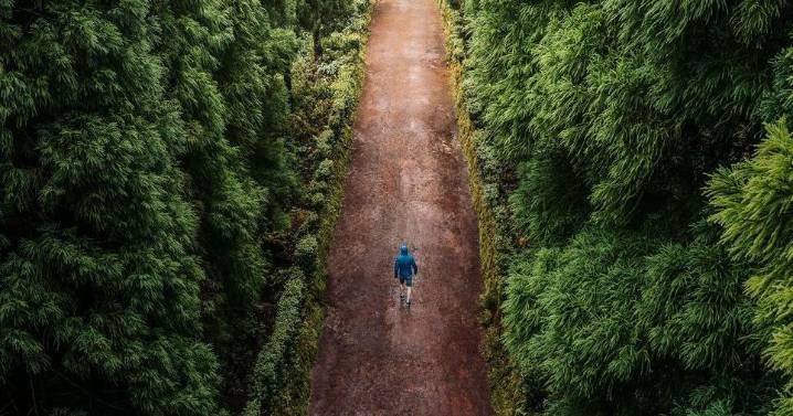 Ask Search & Rescue: Should you hike (bike, ski, climb) alone?