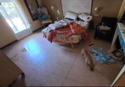 La muerte de un joven con parálisis cerebral destapa un negocio ilegal de cuidados a personas con discapacidad en Elche