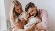 ¿Tu perro lo ama? Evita estas acciones que tu mascota odia, pero no lo puede decir