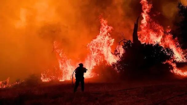 Incendio en California deja miles evacuados y 2 mil hectárea
