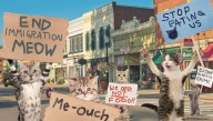 Ohio Cats Take To The Streets To Protest Immigration