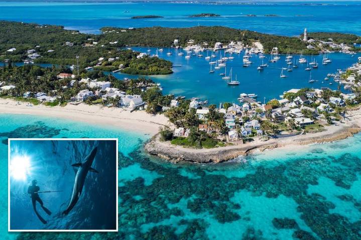 US tourist, 63, attacked by shark, severely injured while spearfishing in the Bahamas