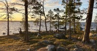 I visited Lapland in the middle of summer