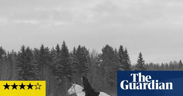Mother Vera review – luminous portrait of a horse