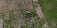 Crisis de desapariciones en Baja California Sur: descubren 66 cuerpos en fosas clandestinas