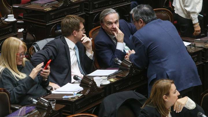 La oposición logró rechazar el veto de Javier Milei a la ley de emergencia en discapacidad