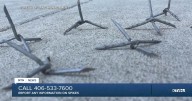 BLM asks for public help after spikes found on p