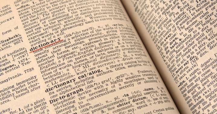 Cambridge Dictionary adds "skibidi," "delulu" and more words. Here's what they mean.