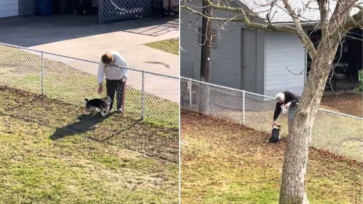 Minnesota Couple’s DIY Steps Bring Them Closer To Their Neighbor’s Corgi
