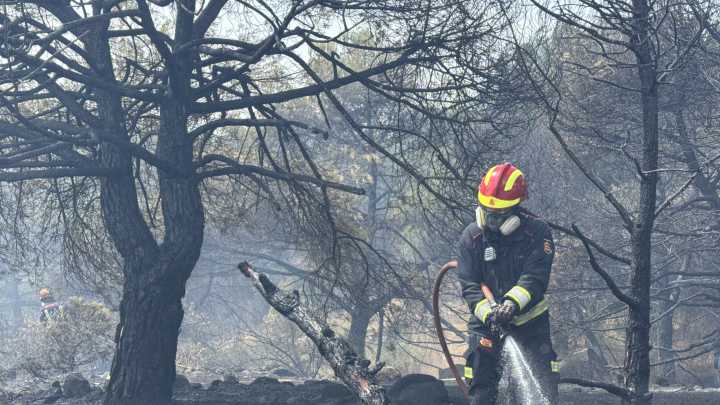 Un experto explica el motivo oculto por el qué está habiendo tantos incendios en España: “Es realmente aterrador”