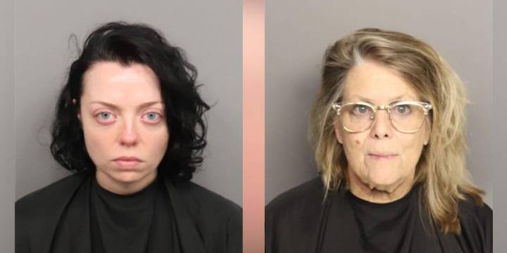Deputies: 2 more arrests confirmed in connection to theft of ‘suffering’ dog