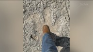 Floods unearth dinosaur tracks in Texas