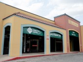How to get your pet spayed or neutered for free in San Antonio